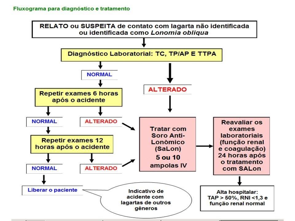 Fluxograma_5_e_10_ampolas.JPG